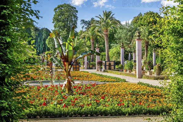 Palm garden in the spa gardens, the largest outdoor palm garden north of the Alps, spa town of Bad Pyrmont, Lower Saxony state spa, Emmer, Emmertal, Weserbergland, Lower Saxony, Germany, Europe