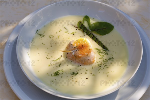 Southern German cuisine, sorrel soup with char, freshwater fish, soup arranged in a plate, herbs, fresh sorrel, blood sorrel, dill, toothpick, savoury, salty, traditional cuisine, food photography, studio, Germany, Europe