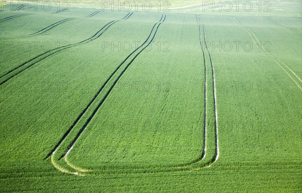 Cherhill, Wiltshire, England, UK, vehicle patterns in crops at foot of chalk scarp slope