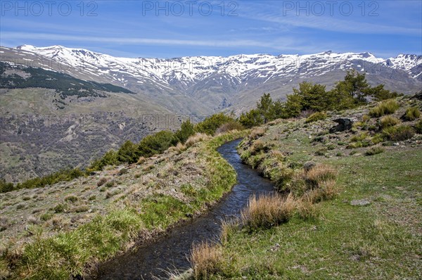 Water channel for irrigation known as an acequia, Sierra Nevada Mountains in the High Alpujarras, near Capileira, Granada Province, Spain, Europe