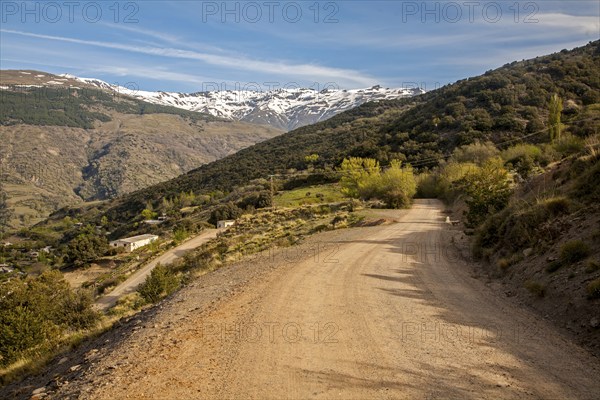 Snow capped Sierra Nevada Mountains, High Alpujarras, near Capileira, Granada Province, Spain, Europe