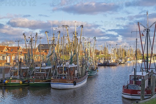 Crab cutter in the harbour of Greetsiel, the largest cutter fleet in East Frisia, Greetsiel, East Frisia, Lower Saxony, Germany, Europe