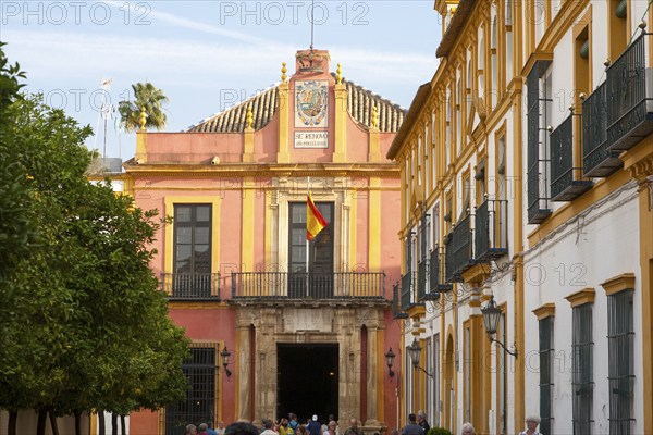 Spanish flag flying on historic buildings in the Alcazar palace area, Seville, Spain, Europe