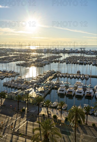 Palma de Majorca, Bay of Palma, marina Port de Majorca, sailing boats and motor yachts Balearic Islands, Spain, Europe