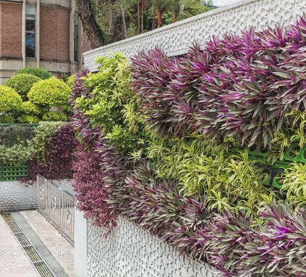 Beautiful vertical garden in the center of Kuala Lumpur, Malaysia, Asia