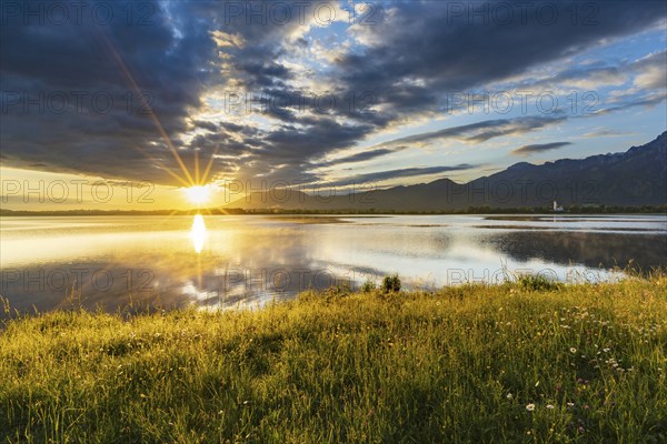 Sunrise at Forggensee, Ostallgäu, Allgäu, Swabia, Bavaria, Germany, Europe