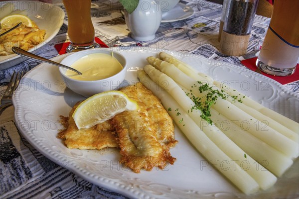 Limandes fillet fried with asparagus and hollandaise sauce in the fish restaurant Wremer Fischerstube, Wremen, Wurster North Sea coast, Land Wursten, Cuxland, Lower Saxony, Germany, Europe