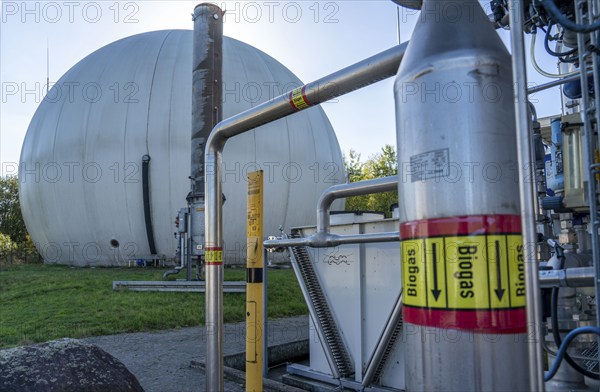 Biogas storage, biogas treatment plant, purification of biogas from organic waste, green waste and contents of the organic waste bin, from households, biogas is produced in a fermenter over a period of more than 18 days, this is then purified in the biogas treatment plant and fed into the natural gas grid as pure biogas, supplying over 1500 households with heat every year, Coesfeld, North Rhine-Westphalia, Germany, Europe