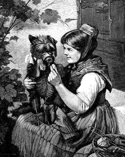 Girl with knitting, playing with her little dog, Illustration from 1870, Historical, digital reproduction of an original 19th century artwork