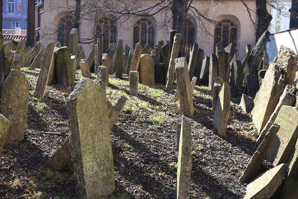 The Old Jewish Cemetery in the Josefov district is one of the most historically significant Jewish cemeteries in Europe. It contains over 12, 000 gravestones and presumably the remains of 100, 000 people, Prague, Czech Republic, Europe