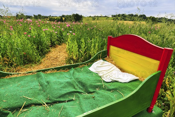 Colourful wooden bed outdoors, mattress made of straw, original hiking trail in the poppy field, symbol of fresh air, taking a break, relaxation, sleep, Germerode, Meißner, Geo-nature park Park Frau-Holle-Land, Hesse, Germany, Europe