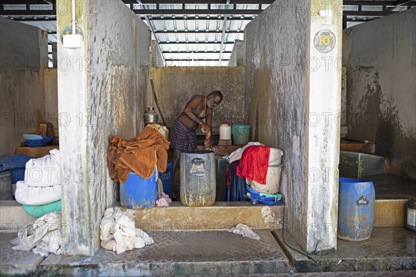 Indian man washing clothes in the laundry Dhoby Khana, Kochi, Kerala, India, Asia