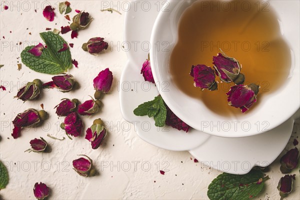 Cup of tea, damask rose, pink tea, close-up