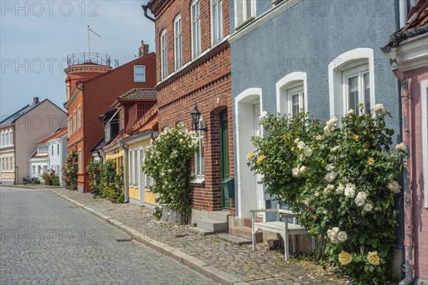 Old houses with roses on a tiny street in the small town of Ystad, Skåne county, Sweden, Scandinavia, Europe