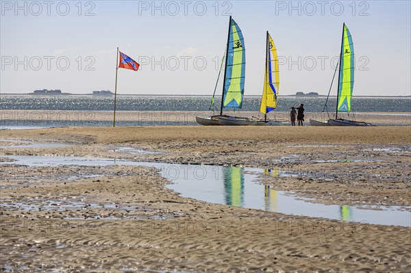 Small sailing boats on the beach, catamaran, behind Halligen, backlight, sunny, summer, North Sea island Föhr, Schleswig-Holstein, Germany, Europe