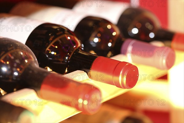 Wine cellar with red wine bottles