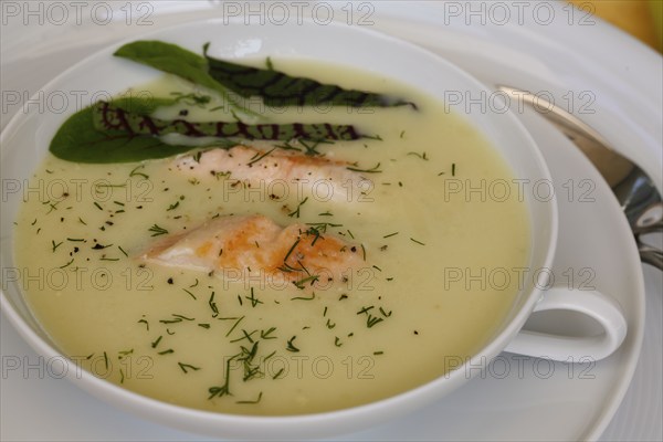 Southern German cuisine, sorrel soup with char, freshwater fish, soup served in soup bowl, herbs, fresh sorrel, blood sorrel, dill, toothpick, savoury, salty, traditional cuisine, food photography, studio, Germany, Europe