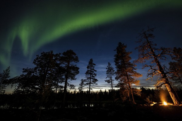 Man in the evening at a bivouac with campfire, Lapland, Sweden, Scandinavia, Europe