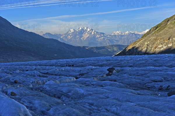 Morning on the jagged ice of the Great Aletsch Glacier, view of the ridge of the Valais Alps, UNESCO World Heritage Swiss Alps Jungfrau-Aletsch, Valais, Switzerland, Europe