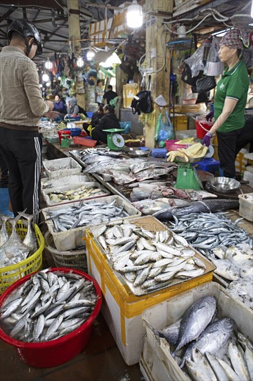 Fresh fish for sale, Cat Ba town market, Cat Ba Island, Halong Bay, Vietnam, Asia