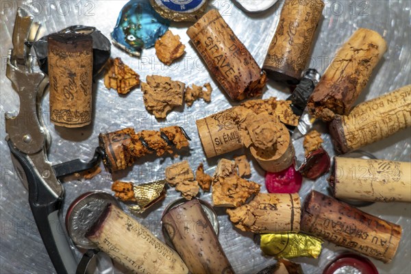 Wine cork, extracted from old, overaged wine bottles, partly crumbly, softened, rotten