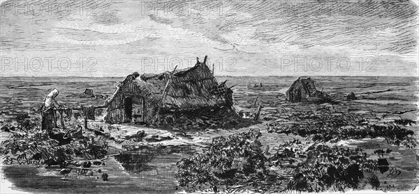 In the Frisian moor, East Frisia, Lower Saxony, Germany, peat cutting, wide plain, poverty, croft, loneliness, woman, basket, laundry, historical illustration 1880, Europe