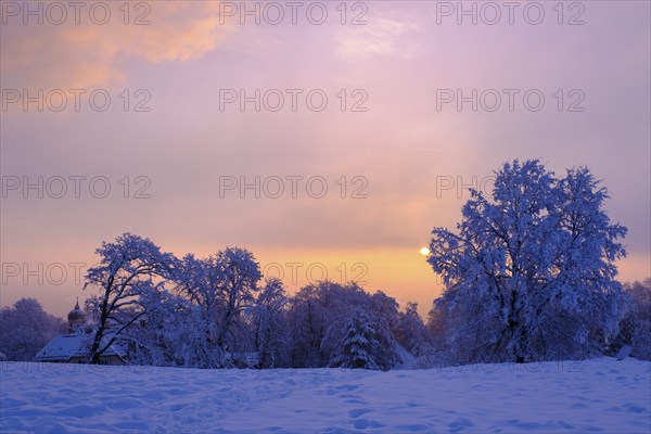 Sunrise with hoarfrost in winter, at the Schlossberg, Eurasburg, Loisachtal, Upper Bavaria, Bavaria, Germany, Europe