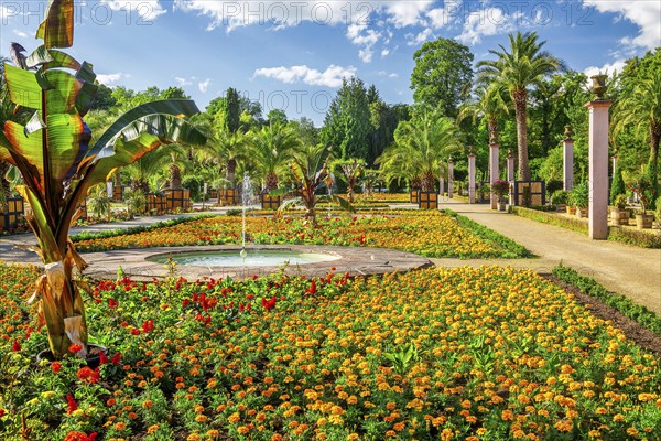 Palm garden in the spa gardens, the largest outdoor palm garden north of the Alps, spa town of Bad Pyrmont, Lower Saxony state spa, Emmer, Emmertal, Weserbergland, Lower Saxony, Germany, Europe