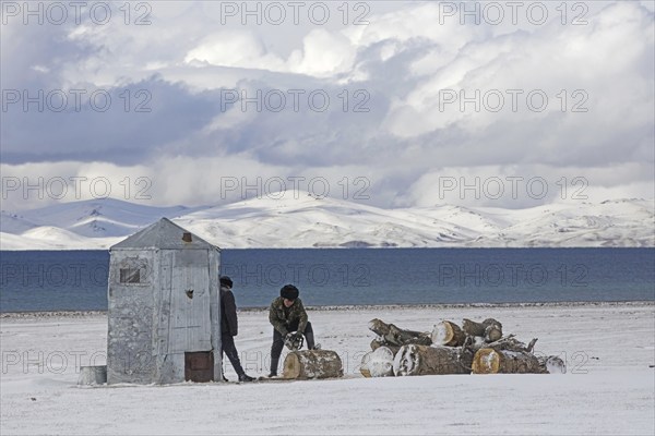 Kyrgyz men cutting wood with chainsaw in the snow along Song Kul, Song Kol lake in the Tian Shan Mountains, Naryn Province, Kyrgyzstan, Asia