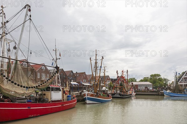 Cutter harbour Neuharlingersiel, shrimp cutter, East Frisia, Lower Saxony, Germany, Europe