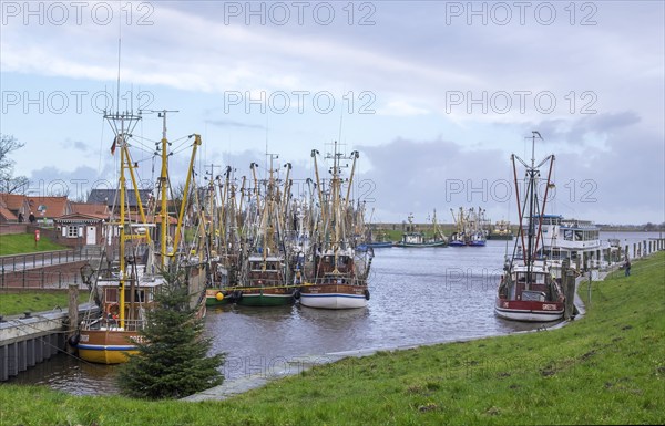 Crab cutter in the harbour of Greetsiel, the largest cutter fleet in East Frisia, Greetsiel, East Frisia, Lower Saxony, Germany, Europe