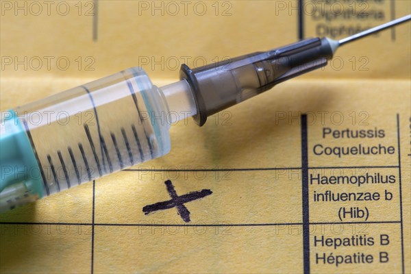 Vaccination booklet, vaccination against Haemophilus influenza type B (HiB), the most common pathogen causing purulent meningitis in children up to 5 years of age, symbolic image