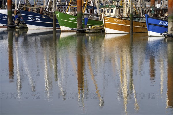 Fishing boats, shrimp boats in the harbour of Norddeich, Lower Saxony, Germany, Europe