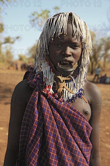 South Ethiopia, in Maco National Park, Mursi tribe, young Mursi woman, plate-lipped woman, woman with plate in her lower lip, lip jewellery, hair plaited into small tufts, Ethiopia, Africa