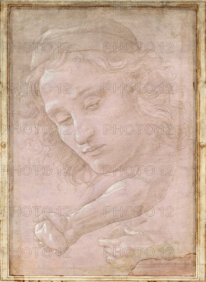 Head of a Youth Wearing a Cap, a Right Forearm with the Hand Clutching a Stone, and a Left Hand Holding a Drapery (1480-1485), Painting by Sandro Botticelli (1 March 1445, 1510), one of the most important Italian painters and draughtsmen of the early Renaissance, Historical, digitally restored reproduction from an original, Record date not stated