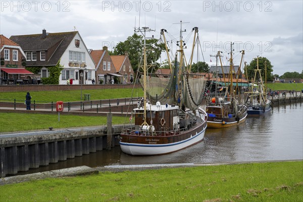 Crab cutter in the harbour, Greetsiel, East Frisia, Lower Saxony, Germany, Europe