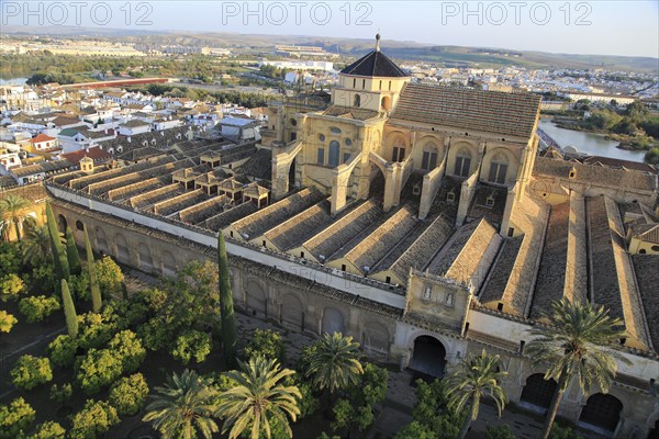 Raised angle view of Great Mosque, Mezquita cathedral, former mosque building in central, Cordoba, Spain, Europe