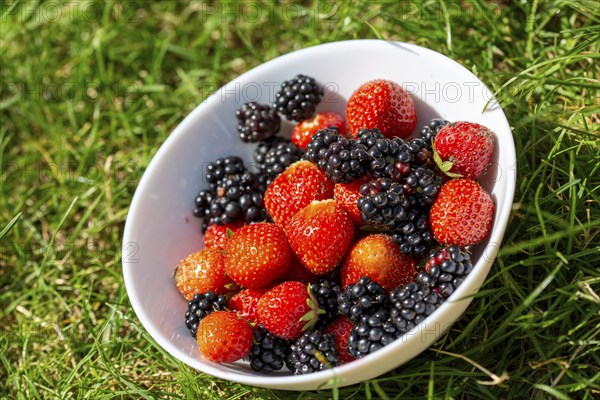 Fresh strawberries and blackberries from the garden