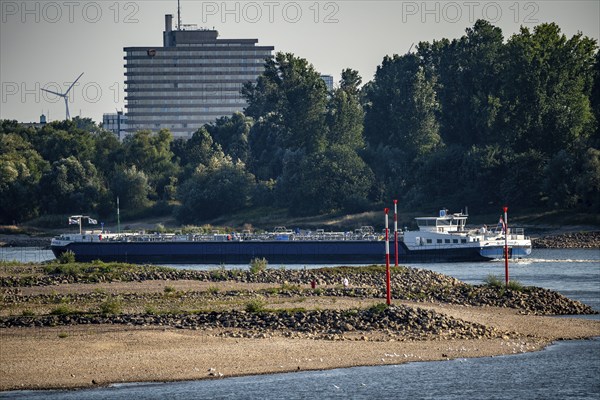 Rhine between Düsseldorf and Neuss, extremely low water, Rhine level at 47 cm, falling, barge in front of the sandbank, freighters may only travel with very reduced cargo and very slowly, North Rhine-Westphalia, Germany, Europe