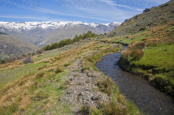 Water channel for irrigation known as an acequia, Sierra Nevada Mountains in the High Alpujarras, near Capileira, Granada Province, Spain, Europe