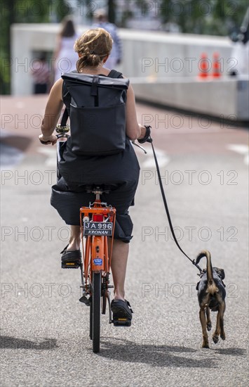 Cycle path in Amsterdam, dog on a short lead next to the bike, Netherlands