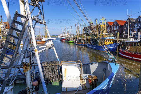 Cutter harbour Neuharlingersiel, Lower Saxony, Germany, Europe