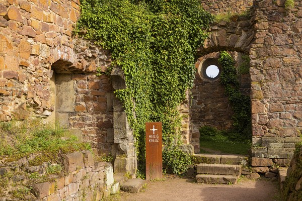 At the end of the 12th century, Dietrich the Afflicted, Margrave of Meissen, donated a convent in Meissen to the Benedictine nuns, which was consecrated to the Holy Cross. Its buildings were initially located between Burgberg and the Elbe on the site of a former moated castle. In 2004, the Hahnemann Centre undertook further renovation work on the buildings. Today it serves as a venue for events and has an extensive monastery garden, Meissen, Saxony, Germany, Europe