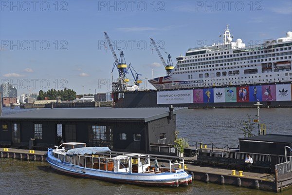 Europe, Germany, Hanseatic City of Hamburg, harbour, Elbe, view to floating dock 11, passenger ship Aurora in dock, Europe