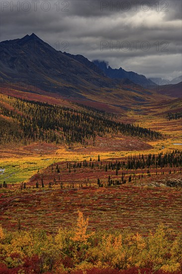 Autumn coloured tundra, mountains, clouds, Tombstone Territorial Park, Dempster Highway, Yukon, Canada, North America