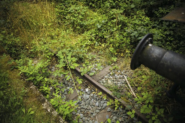 Symbolic photo on the subject of railway traffic standstill. An old track is overgrown with weeds. Lichtenberg, 21.07.2024