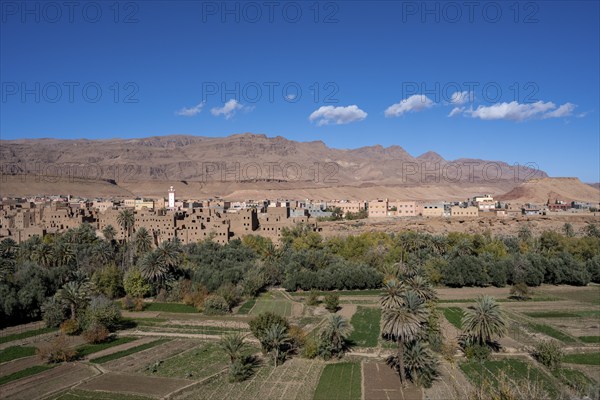 Oasis with traditional mud houses and date palms, on the edge of the Todra Gorge or Gorges du Toudra, near Tinghir, Morocco, Africa