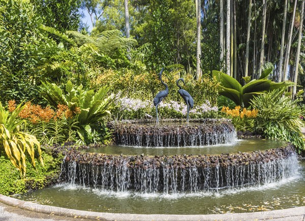 Fountain with orchids in botanical garden of Singapore