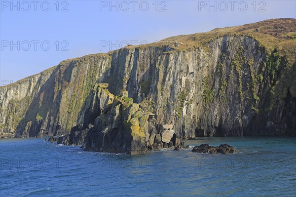 Sheer cliff vertical sedimentary rock strata, west coast Cape Clear Ireland, County Cork, Ireland, Irish Republic, Europe