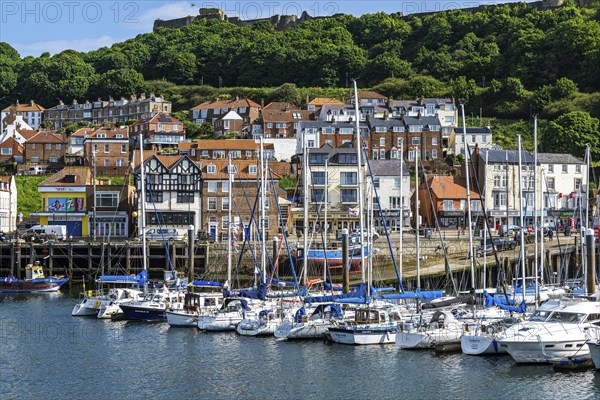 Marina and Harbour over Vincent Pier, Scarborough, North Yorkshire, England, United Kingdom, Europe